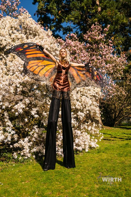 Riesenschmetterling
