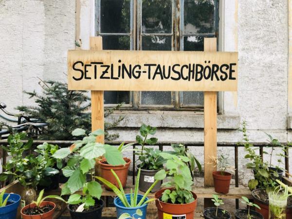 Die Setzling-Tauschbörse in der Oststadt