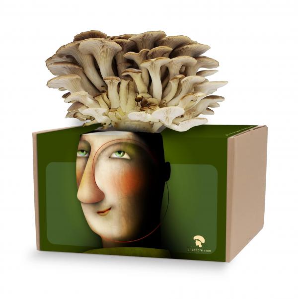 Pilzköpfe Pilzkoepfe_gruen