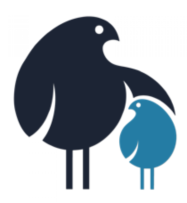 Logo_Pflgepiraten_ohneSchrift